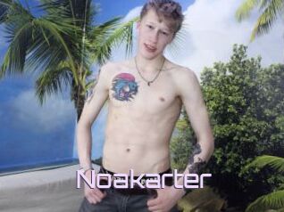 Noakarter