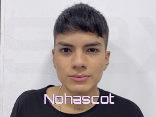 Nohascot