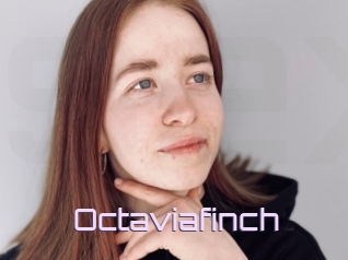 Octaviafinch