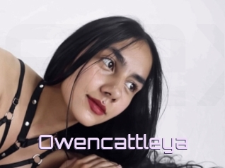 Owencattleya