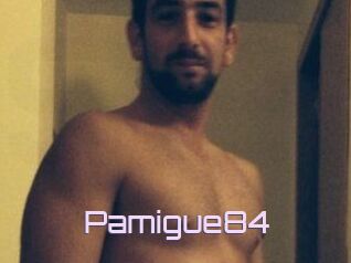 Pamigue84