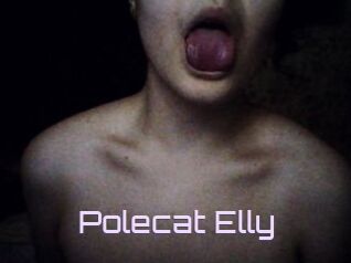 Polecat_Elly