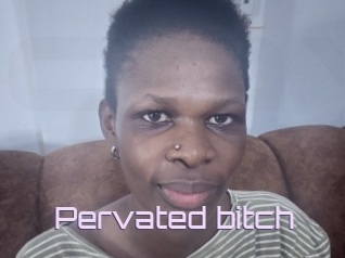 Pervated_bitch