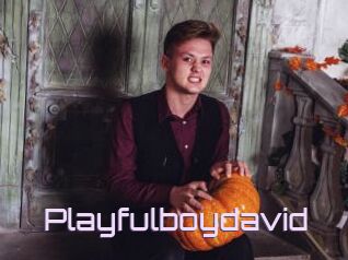 Playfulboydavid