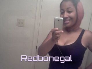 Redbonegal