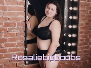 Rosaliebigboobs