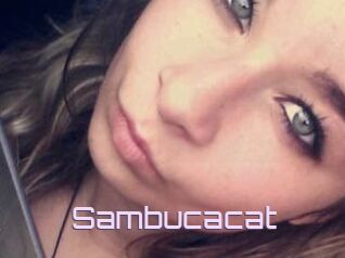 Sambucacat