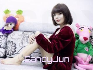 SandyJun