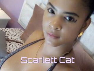 Scarlett_Cat