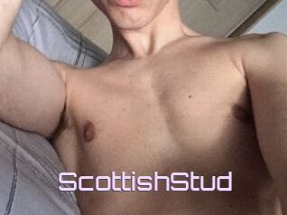 Scottish_Stud