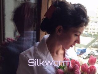 Silkworm