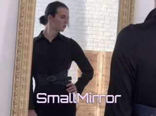 SmallMirror