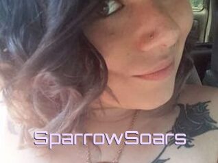 SparrowSoars