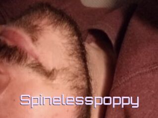 Spinelesspoppy