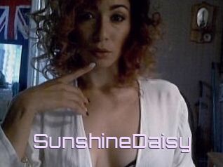 SunshineDaisy