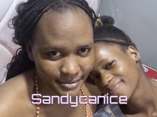 Sandycanice