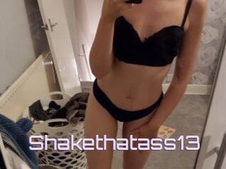 Shakethatass13