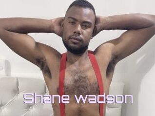 Shane_wadson