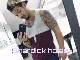 Sherdick_holes