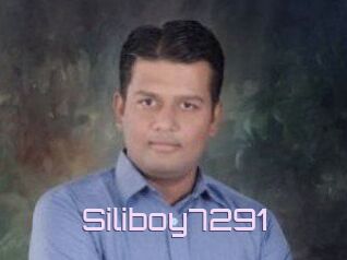 Siliboy7291