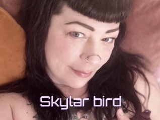 Skylar_bird