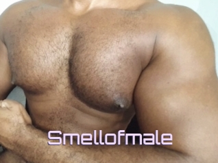 Smellofmale