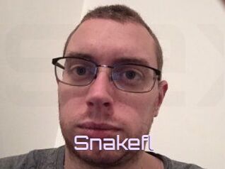 Snakefl