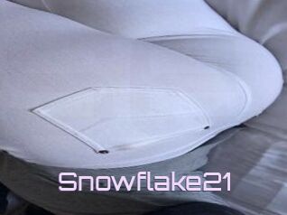 Snowflake21