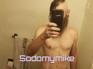 Sodomymike