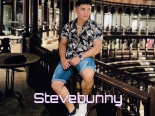 Stevebunny