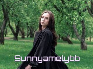 Sunnyamelybb