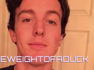 THEWEIGHTOFADUCK