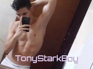 TonyStarkBoy