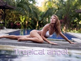 Tropical_angel