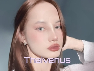 Thaivenus