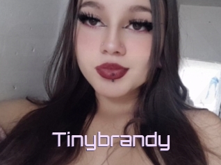 Tinybrandy