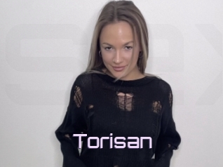 Torisan