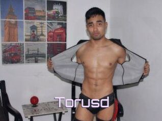 Torusd