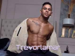 Trevorlamar