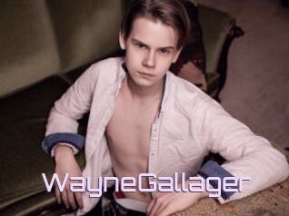 WayneGallager