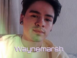Waynemarsh