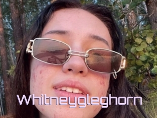 Whitneygleghorn