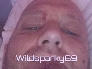Wildsparky69