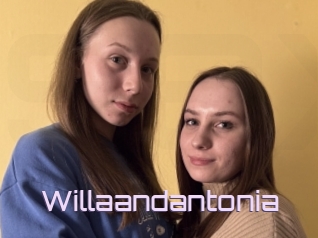 Willaandantonia