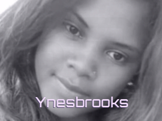 Ynesbrooks